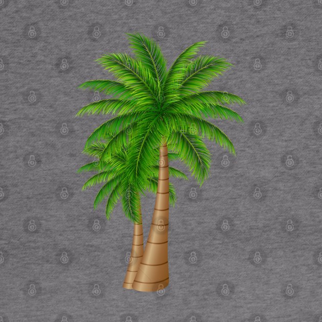 coconut palm by usastore